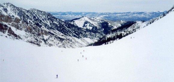 Bowl on the backside