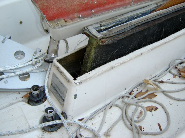 DSC00307