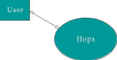 Analysis Functional Model